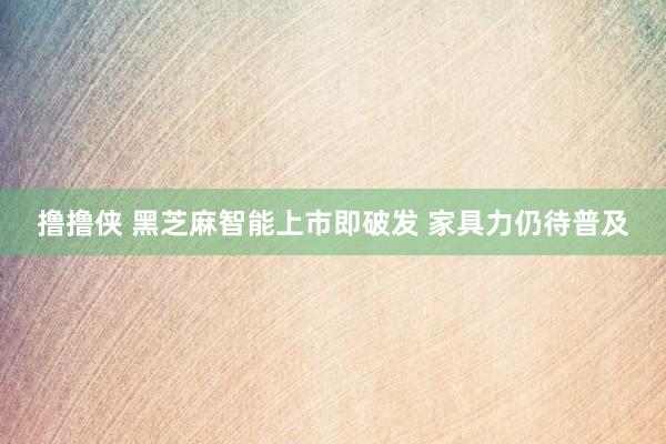 撸撸侠 黑芝麻智能上市即破发 家具力仍待普及