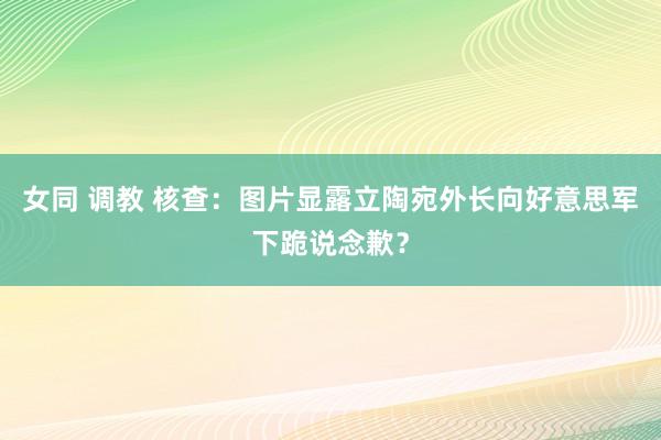 女同 调教 核查：图片显露立陶宛外长向好意思军下跪说念歉？