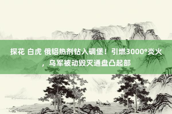 探花 白虎 俄铝热剂钻入碉堡！引燃3000°炎火，乌军被动毁灭通盘凸起部