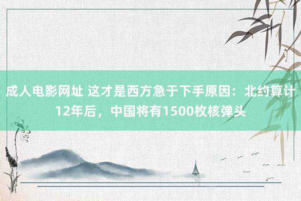 成人电影网址 这才是西方急于下手原因：北约算计12年后，中国将有1500枚核弹头