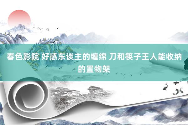 春色影院 好感东谈主的缠绵 刀和筷子王人能收纳的置物架