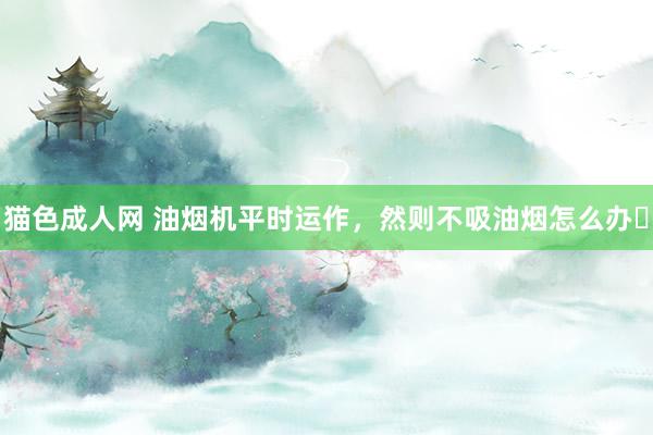 猫色成人网 油烟机平时运作，然则不吸油烟怎么办❓