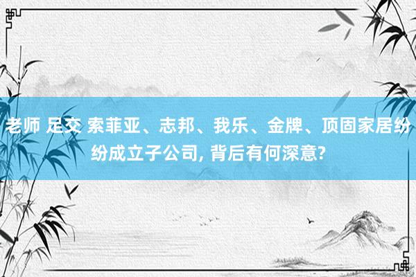 老师 足交 索菲亚、志邦、我乐、金牌、顶固家居纷纷成立子公司， 背后有何深意?