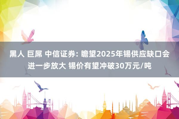 黑人 巨屌 中信证券: 瞻望2025年锡供应缺口会进一步放大 锡价有望冲破30万元/吨