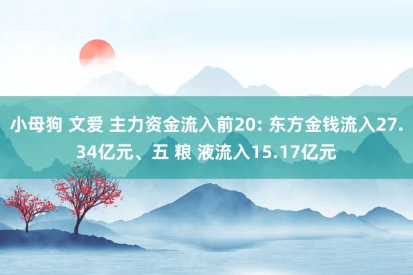 小母狗 文爱 主力资金流入前20: 东方金钱流入27.34亿元、五 粮 液流入15.17亿元