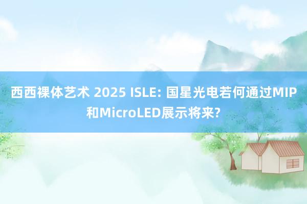 西西裸体艺术 2025 ISLE: 国星光电若何通过MIP和MicroLED展示将来?