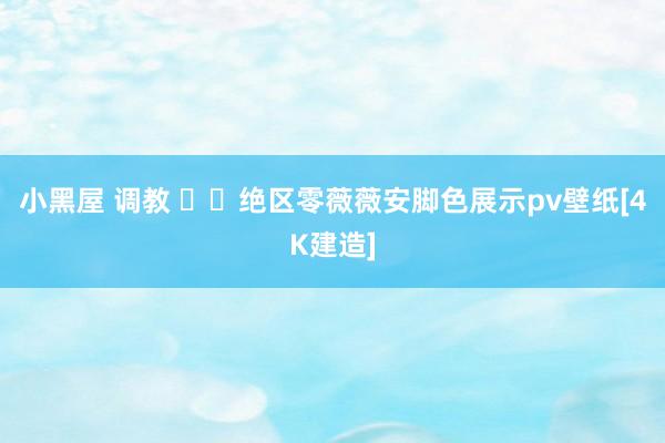 小黑屋 调教 ❤️绝区零薇薇安脚色展示pv壁纸[4K建造]