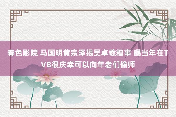 春色影院 马国明黄宗泽揭吴卓羲糗事 曝当年在TVB很庆幸可以向年老们偷师