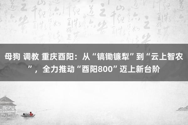 母狗 调教 重庆酉阳：从“镐锄镰犁”到“云上智农”，全力推动“酉阳800”迈上新台阶