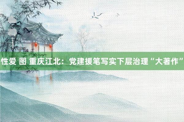 性爱 图 重庆江北：党建援笔写实下层治理“大著作”