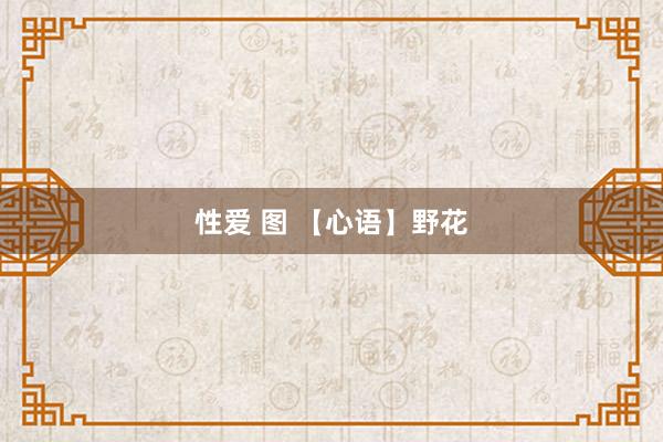 性爱 图 【心语】野花
