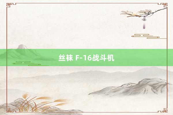 丝袜 F-16战斗机