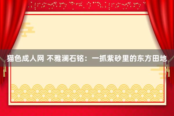 猫色成人网 不雅澜石铭：一抓紫砂里的东方田地